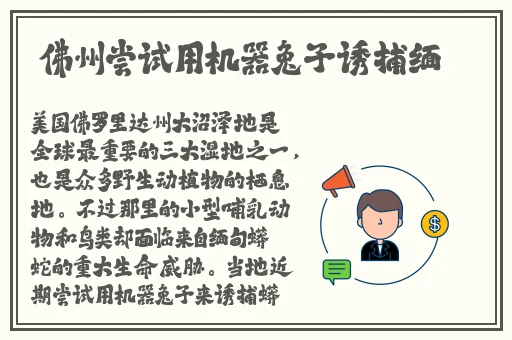 肢体的绣感2日
